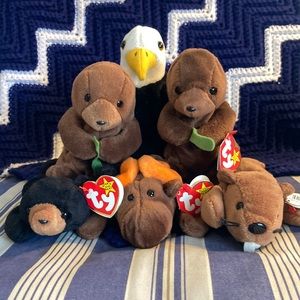Beanie Babies- Northwest Coast Collection